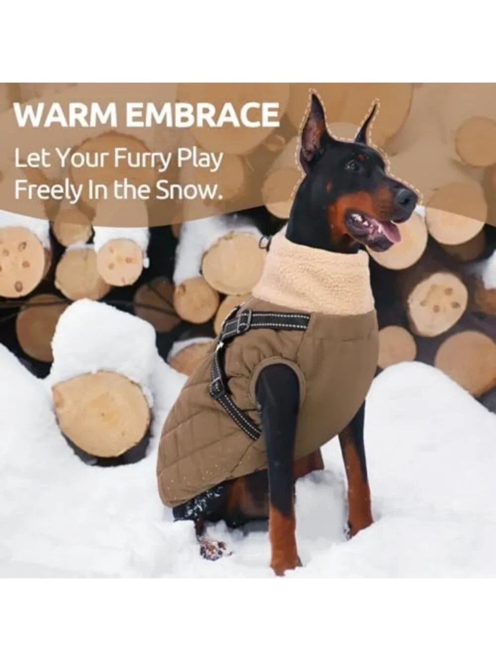Cozy Dog Coat with Harness for Small Breeds - Dachshund Jacket, Warm & Stylish